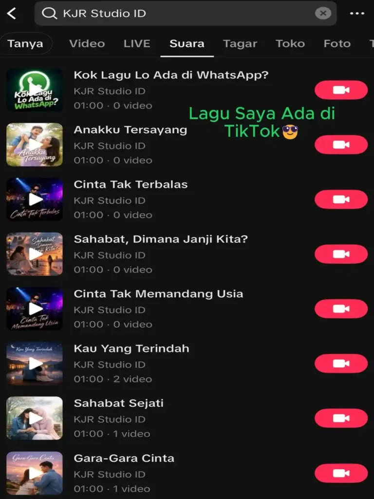 003. TikTok